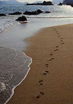 Footprints in sand